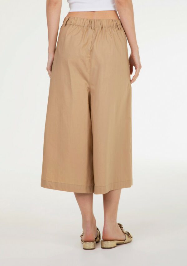 Pantagonna cropped