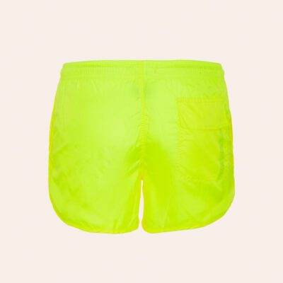 Boxer mare basic