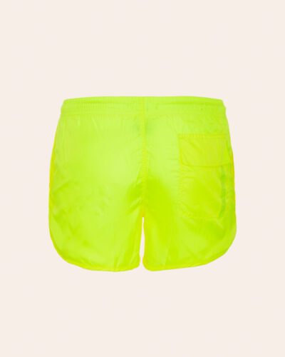 Boxer mare basic