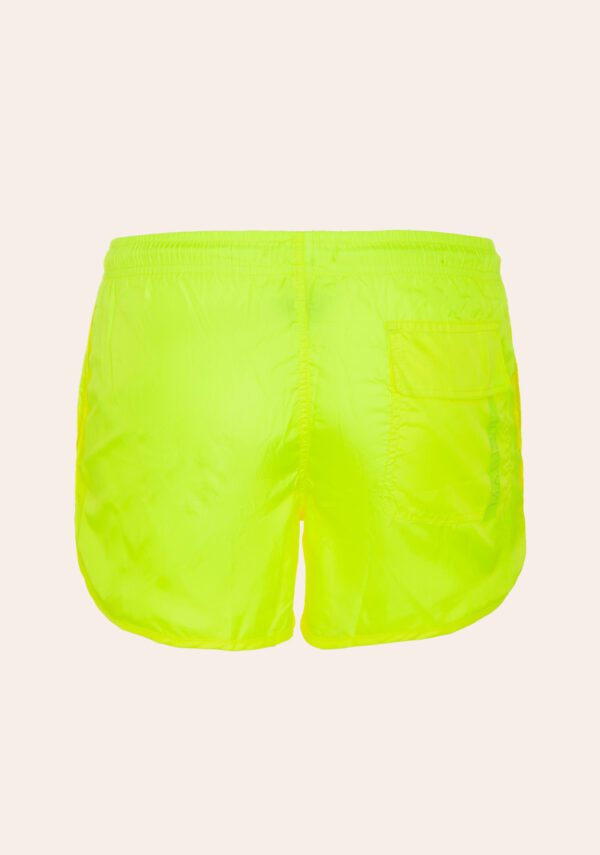 Boxer mare basic
